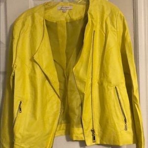 Light spring jacket
